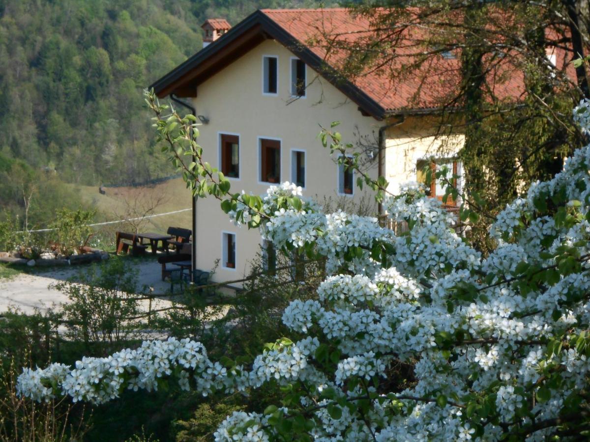 Agriturismo La Casa Nei Boschi Colderu Exterior photo